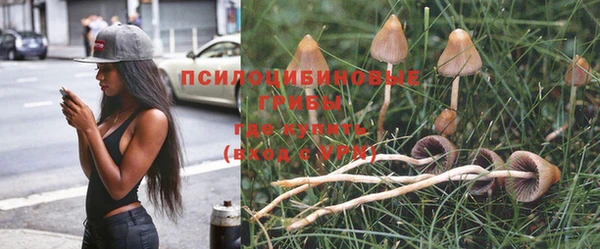 прущая мука Зеленодольск