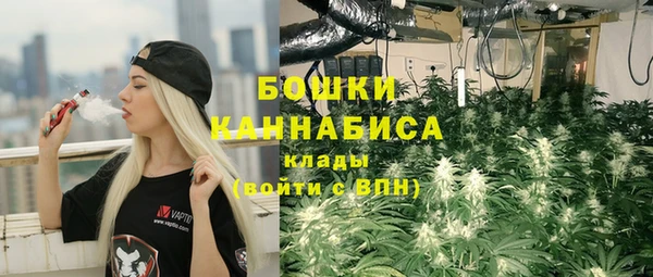 хмурый Зеленокумск